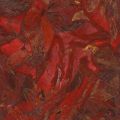 carnis tectus pallio, 90 x 70 cm